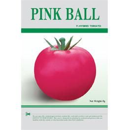 供应PINK-BALL粉果—番茄种子