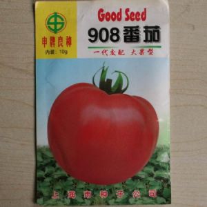 供应908番茄—番茄种子