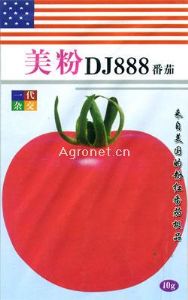 供应美粉DJ888——番茄种子