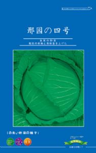 供应邢园四号—甘蓝种子