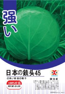 供应日本铁头45-甘蓝种子