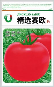 精选赛欧F1——番茄种子