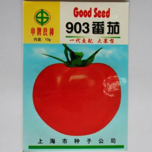 供应903番茄—番茄种子